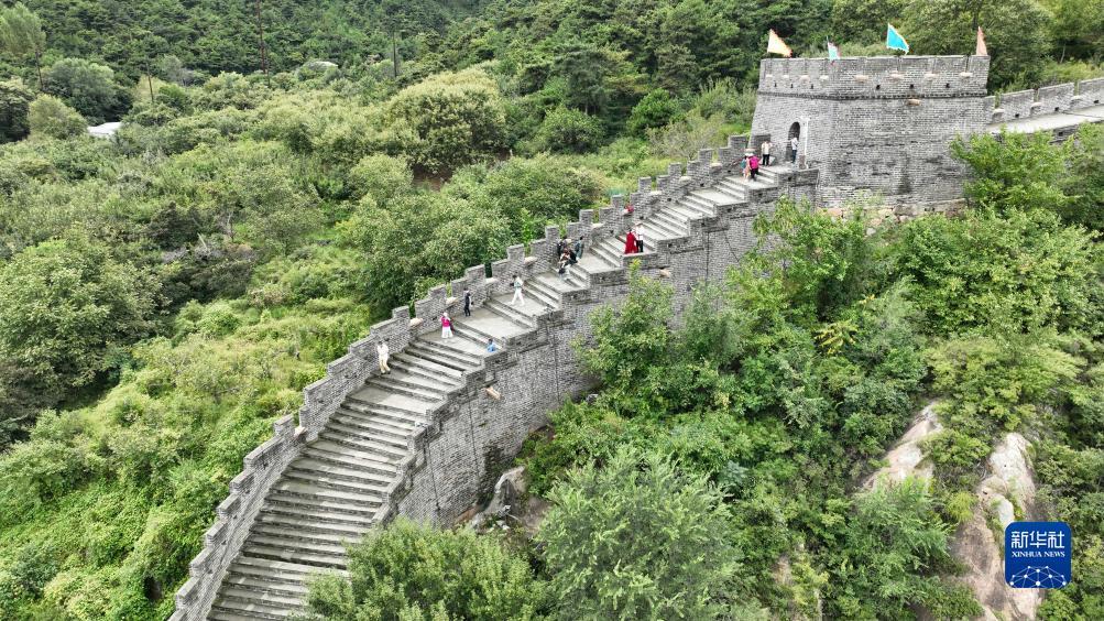 梯子游戏安全网站